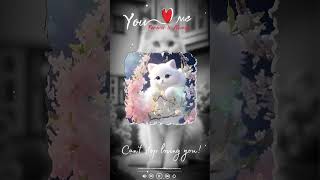 New video meow meow  meow meow editing video  37 videos [upl. by Jerroll776]