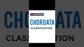 CHORDATA CLASSIFICATION [upl. by Audrey]