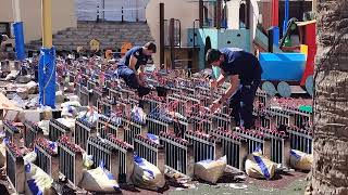 Ricasas Vertical Mascletà is Going VIRAL  Craziest Firework Weve Ever Seen Benissa 2022 [upl. by Penland]