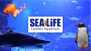 Sea Life London Aquarium  Complete Tour [upl. by Hoang709]