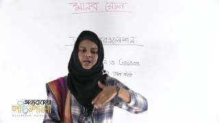 05 Osmoregulation  অসমোরেগুলেশন  OnnoRokom Pathshala [upl. by Brieta]