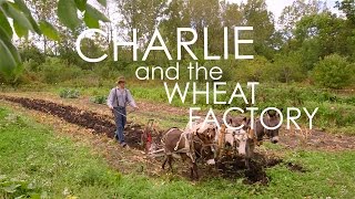 Wisconsin Foodie  Anarchy Acres  Full Episode [upl. by Cchaddie]