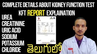 Kidney Function Test In Telugu  KFT Report Explanation In Telugu  RFT  akhilmlt [upl. by Eenttirb]