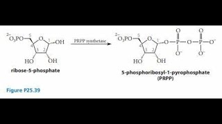 Synthesis of Phosphoribosyl Pyrophosphate PRPP Explanation [upl. by Seymour252]