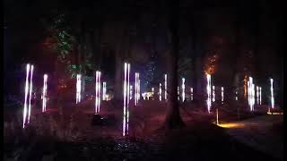 Dunham Massey Christmas light show Part 2 [upl. by Columbyne]