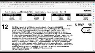 2024 Haskell Stakes Analysis and Picks  Monmouth Park [upl. by Naitsirc930]