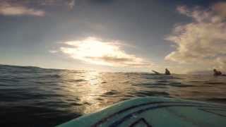 Modex surfboards wild Waikiki surfing with SO FRESH long board by Modex [upl. by Ibib]