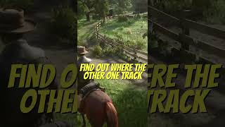 Fast Way To Level Up Red Dead Online Naturalist Role [upl. by Matland]