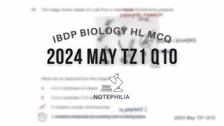 IB Biology HL 2024 May TZ1 Paper 1 Q10 [upl. by Naujej]