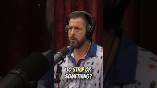 Joe Rogan Loves Adam Sandler Movies PART 2 joerogan podcast adamsandler movie parody comedy [upl. by Dedra]