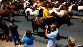 Chincoteague Pony Penning 2014 [upl. by Ehpotsirhc]