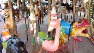 audubon zoo carousel [upl. by Ellehsat346]