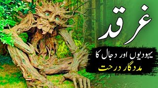 Gharqad ka darakht  Tree of jews and dajjal  reality of gharqad tree in Israel  Nasir Voice [upl. by Arraek]