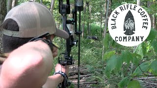 Total Archery Challenge 7 Springs  BRCC Course [upl. by Austreng445]