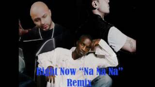 Akon  Right Now Na Na Na Remix Ft Danny Fernandes  Ali The Don [upl. by Stickney]