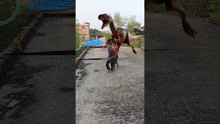 Titan trex Jurassic Park dangerous attack part 12 sshortsvirelvfx animetion [upl. by Sailesh]