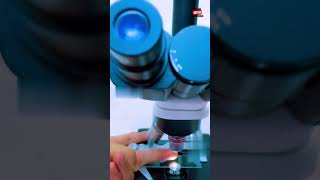 Microscopic View Of Finger facts science youtubeshort knowledge finger [upl. by Aekerly]