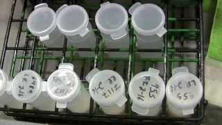 5 How to Collect an Aseptic Milk Sample [upl. by Aisyle226]