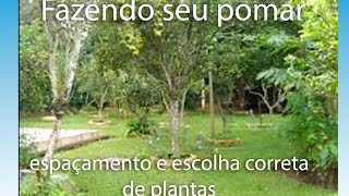 Começando Pomar espaçamento e escolha de plantas importante saber  cultiva é qualidade de vida [upl. by Antonin]