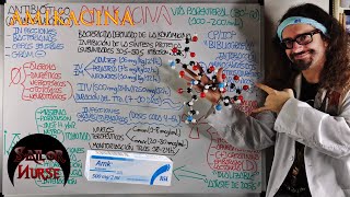 💊 Amikacina quotAmicacinaquot Antibiótico Aminoglucósido [upl. by Allebram]