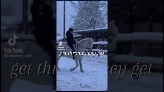 ✨ HORSEY GIRLS✨ horses riding edits horsey shorts sports shortsvideo [upl. by Severen]