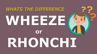 Wheeze or Rhonchi What is the difference Super simple explanation [upl. by Bever]