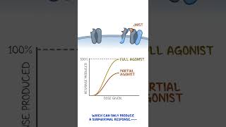 Clinical Cuts Pharmacodynamics  Agonist partial agonist antagonist [upl. by Decca]