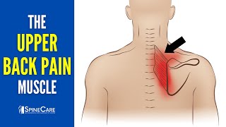 The Upper Back Pain Muscle How to Release It for INSTANT RELIEF [upl. by Magan]