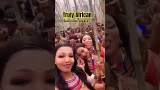 Zulu 👸zulu africa culture beauty views 4k trendingshorts trending 3d love [upl. by Ainadi]