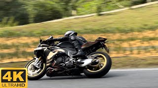 Aprilia RSV4 1100 Factory Exhaust Sound [upl. by Baoj463]