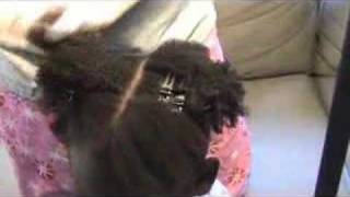 How to do Crisscross Cornrows Part 1 [upl. by Nrubua]