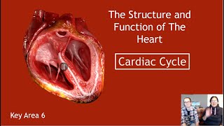 A Level Biology Revision quotThe Structure of the Human Heartquot [upl. by Aillil]