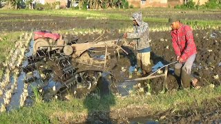 Rotary tractors work together to plow and level the land [upl. by Harahs]