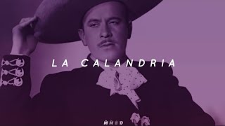 Pedro Infante La Calandria Letra [upl. by Ellissa296]