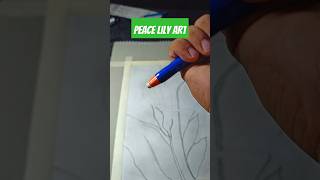 peace lily  ideaingarden art artwork sketch drawing drawingtutorial [upl. by Athelstan]