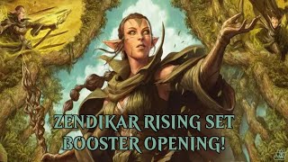 Zendikar Rising SET BOOSTER BOX  HUGE LIST HIT [upl. by Blim695]