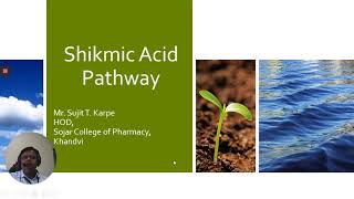 Shikimic acid Pathway [upl. by Eldon]