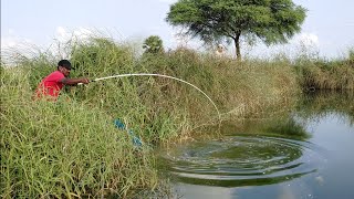 🐠TALAPIA fishingPOLE fishingcatching fihes with earth worms [upl. by Zorah]