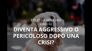 EPILESSIA NEL CANE 2 Puo diventare aggressivo o pericoloso dopo una crisi [upl. by Eelahs]