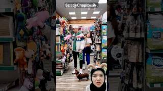 Beli mainan dogi‼️Chapitosiki [upl. by Ttennaj]