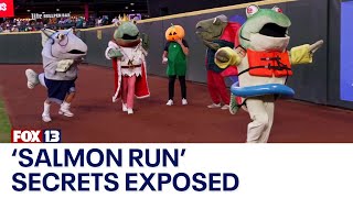 The truth behind the Seattle Mariners new tradition The Salmon Run  FOX 13 Seattle [upl. by Steffy618]