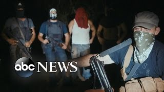 Cartel Land Explores Deadly Consequences of Illegal Drug Trade [upl. by Fougere]