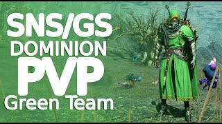 Throne and Liberty SNSGS Dominion pvp green team My combat settings [upl. by Rasec]