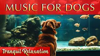 4K Serenity Aquariums Music for Pet Relaxation and Stress Relief [upl. by Relda]