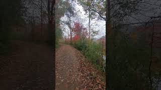 Nature walk autumnfoliage autumncolors [upl. by Kimon434]