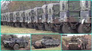 Leopard Boxer Marder Fennek Fuchs Leguan Dingo Eagle an der Elbe [upl. by Lucille]