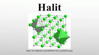 Halit [upl. by Ahsaetan]