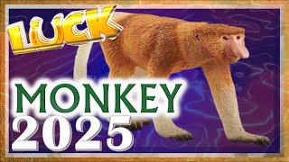 Monkey Horoscope 2025  Luck  Born 2016 2004 1992 1980 1968 1956 1944 1932 [upl. by Aisyat814]