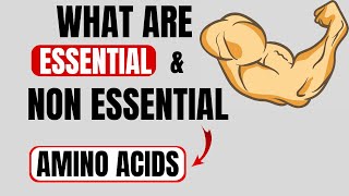 What are essential amino acids  What are nonessential amino acids [upl. by Hersch64]