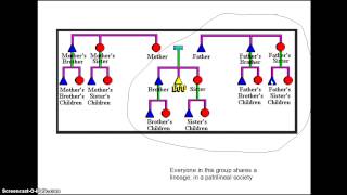 Kinship presentation [upl. by Hermosa]